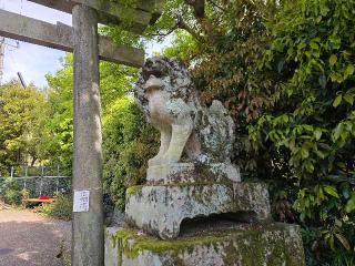 大豊神社の参拝記録(飛成さん)