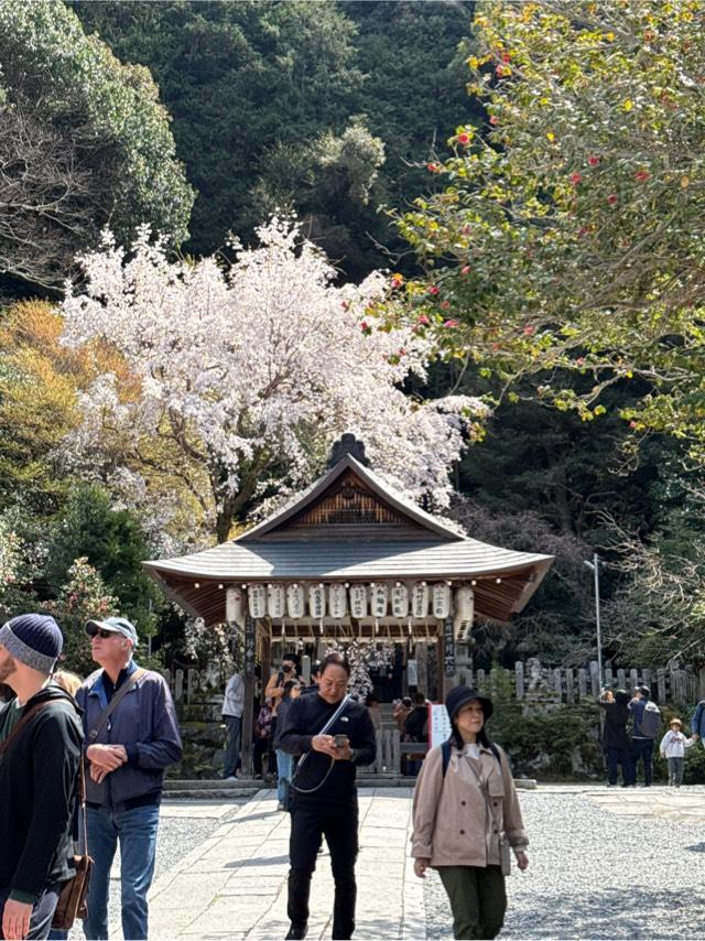 大豊神社の参拝記録8