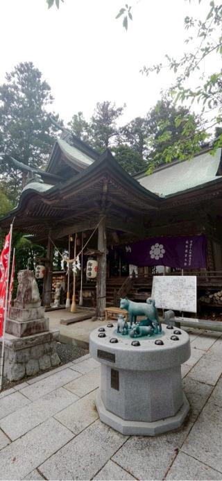 男山八幡神社の参拝記録(®️さん)