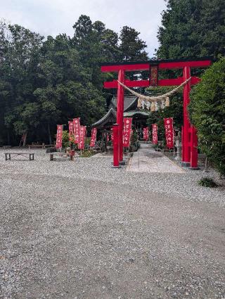 男山八幡神社の参拝記録(あがさん)