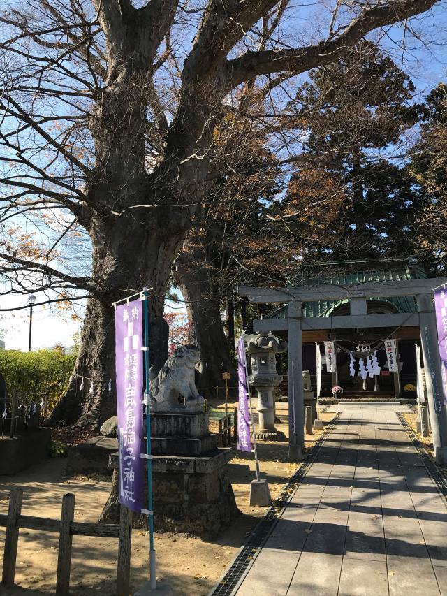 鹿島御子神社の参拝記録6