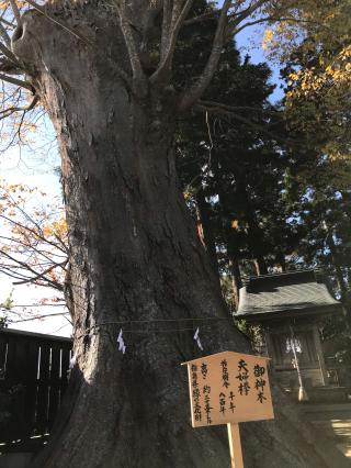 鹿島御子神社の参拝記録(つねちゃまさん)