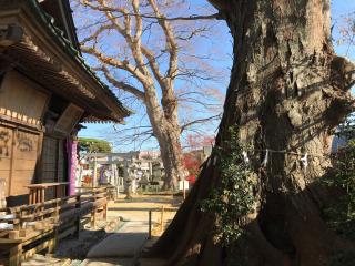 鹿島御子神社の参拝記録(つねちゃまさん)