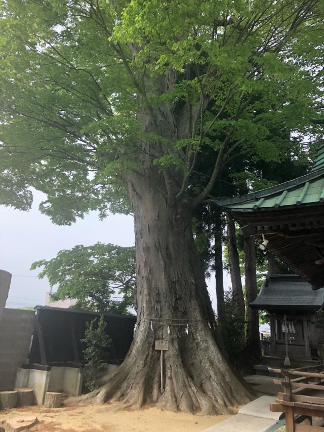 福島県南相馬市鹿島区鹿島字町143 鹿島御子神社の写真6