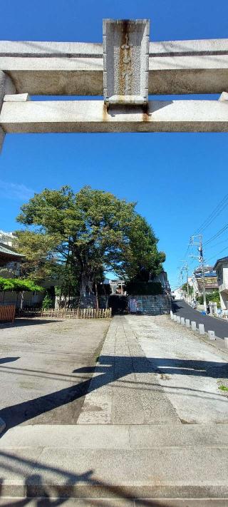 練馬白山神社の参拝記録(まーぼーさん)