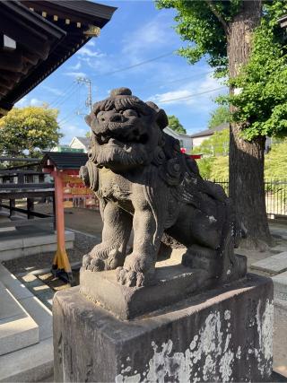 練馬白山神社の参拝記録(⛩️🐍🐢まめ🐢🐍⛩️さん)