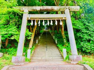 天祖神社の参拝記録(shikigami_hさん)