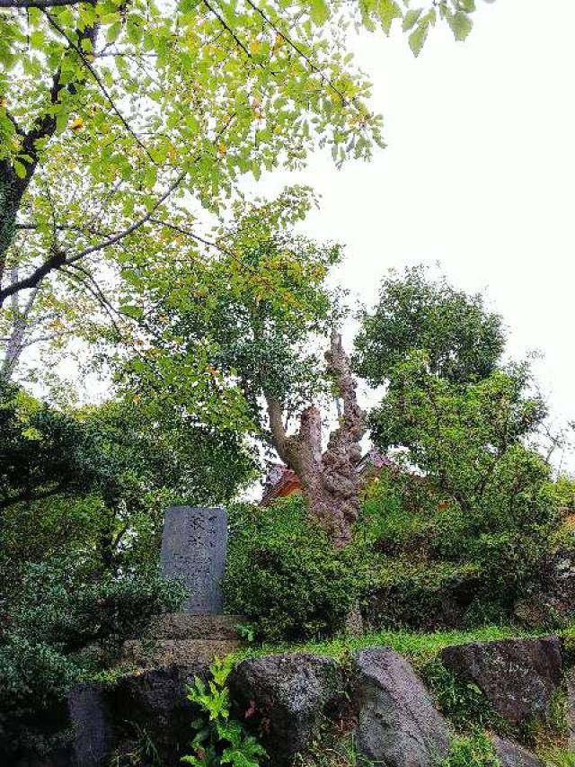 東京都町田市能ヶ谷6－20 能ヶ谷神社の写真4
