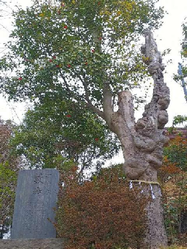 東京都町田市能ヶ谷6－20 能ヶ谷神社の写真10