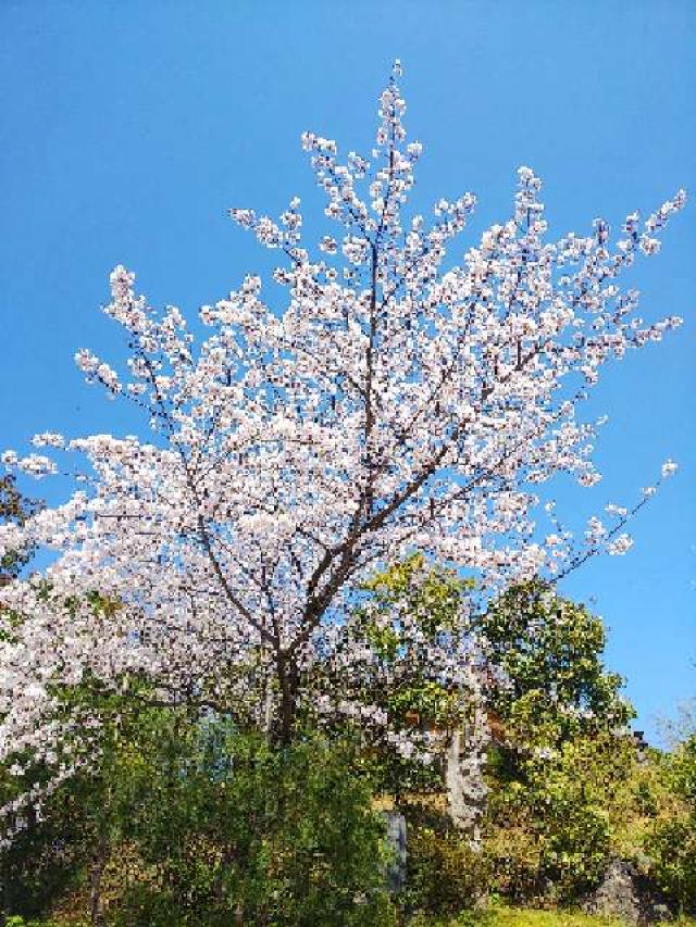東京都町田市能ヶ谷6－20 能ヶ谷神社の写真17