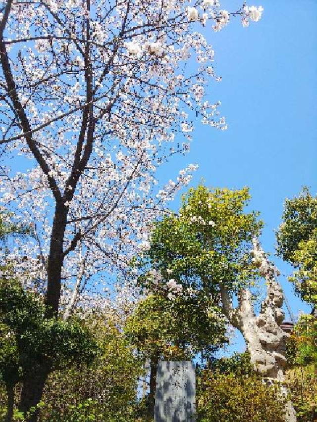 東京都町田市能ヶ谷6－20 能ヶ谷神社の写真19