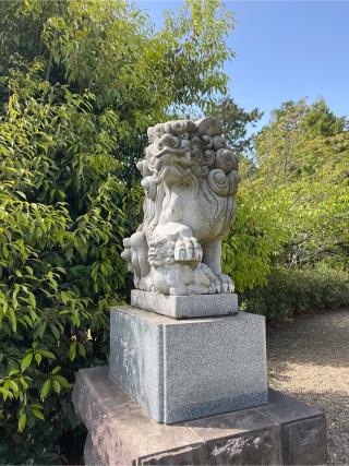 能ヶ谷神社の参拝記録(⛩️🎠🐢まめ🐢🎠⛩️さん)