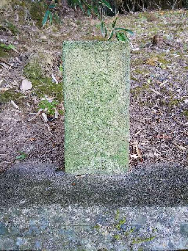 神奈川県横浜市青葉区恩田町 子ノ辺神社の写真8