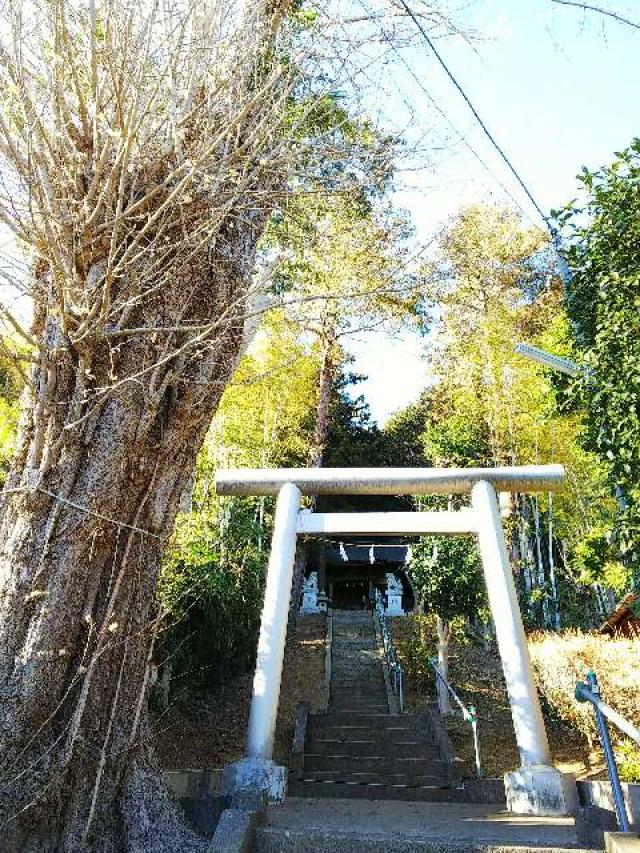 神奈川県横浜市青葉区恩田町 子ノ辺神社の写真13