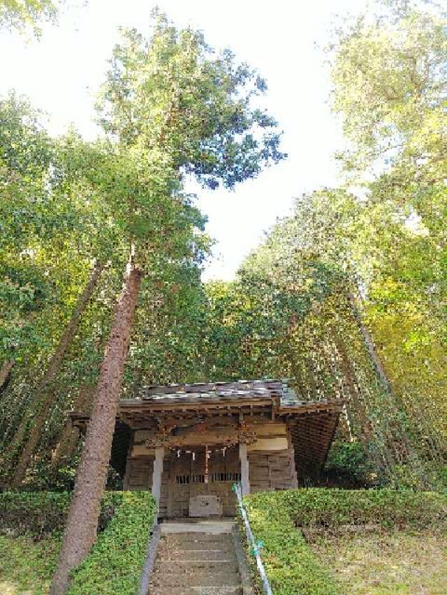 子ノ辺神社の参拝記録2