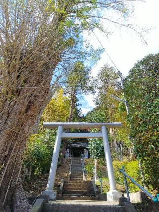 子ノ辺神社の参拝記録(またたびさん)