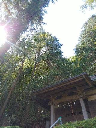 子ノ辺神社の参拝記録(またたびさん)