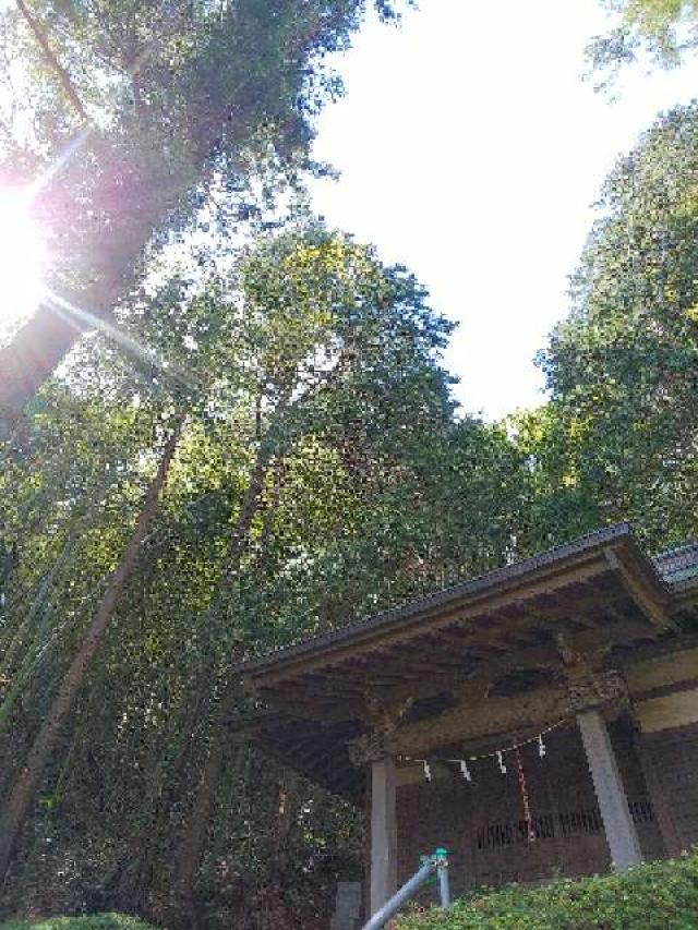 神奈川県横浜市青葉区恩田町 子ノ辺神社の写真19