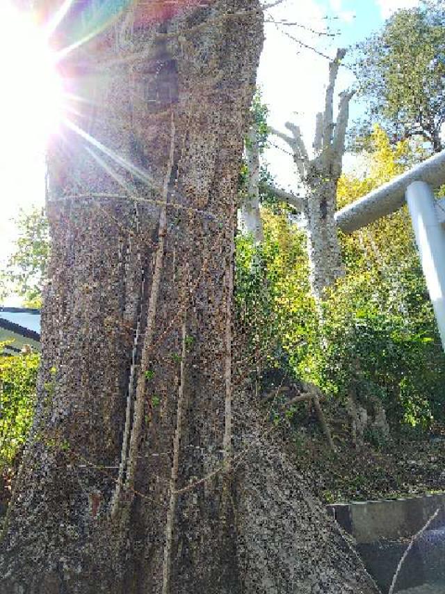 神奈川県横浜市青葉区恩田町 子ノ辺神社の写真23