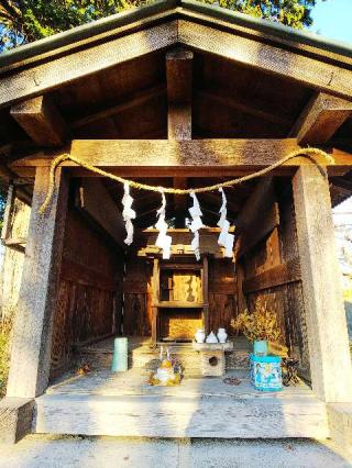 諏訪神社の参拝記録(またたびさん)