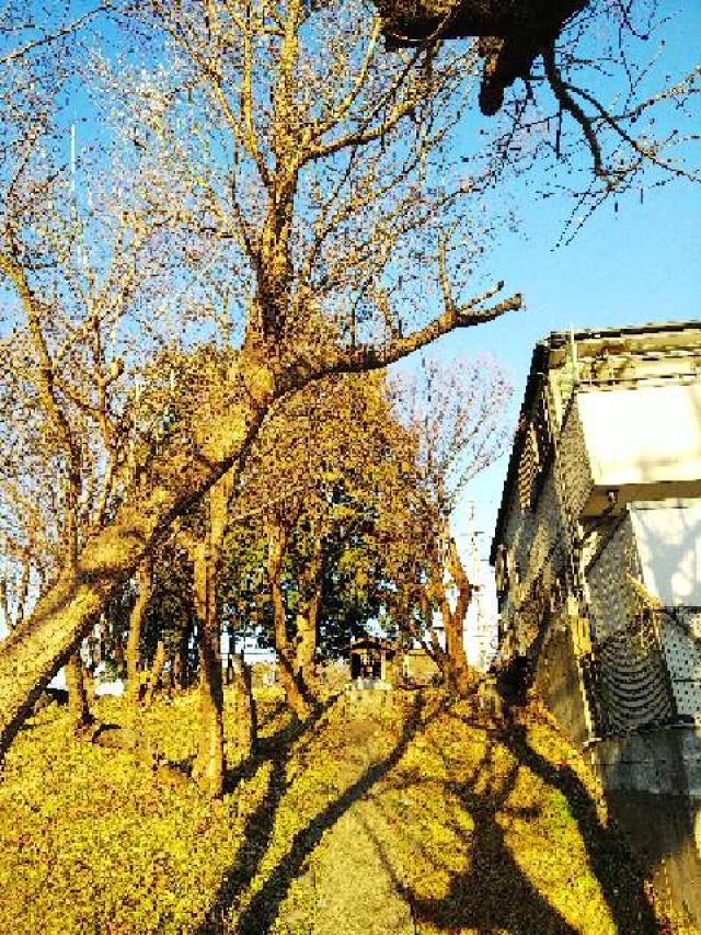 東京都町田市成瀬6－1 諏訪神社の写真6