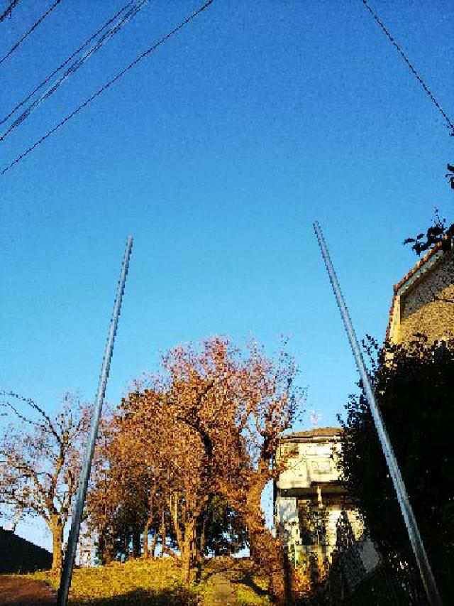 東京都町田市成瀬6－1 諏訪神社の写真7