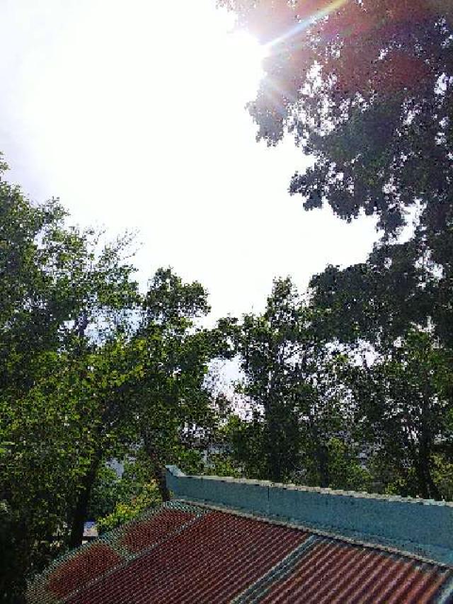 東京都町田市成瀬6－1 諏訪神社の写真8