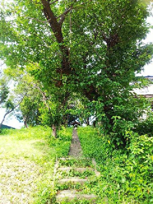 東京都町田市成瀬6－1 諏訪神社の写真13