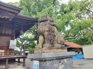 須賀神社（祇園社）の参拝記録(飛成さん)