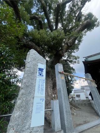 須賀神社（祇園社）の参拝記録(みんきちさん)