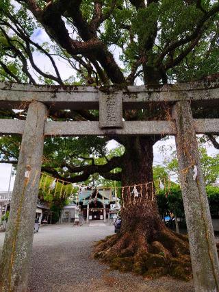 須賀神社（祇園社）の参拝記録(たこさん)