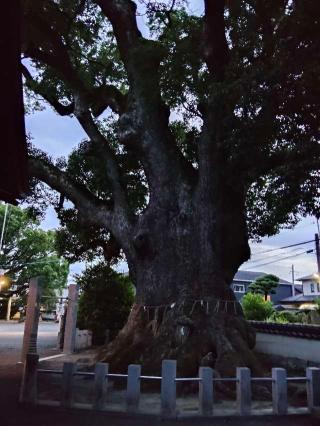 須賀神社（祇園社）の参拝記録(たけたさん)