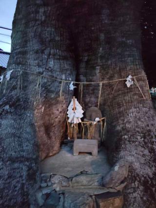 須賀神社（祇園社）の参拝記録(たけたさん)