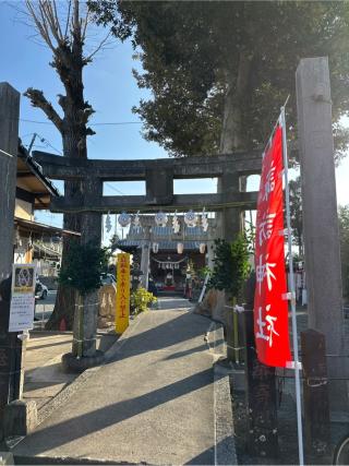 諏訪神社の参拝記録(おかちゃんさん)