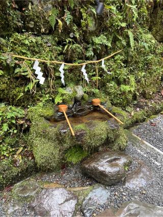 貴船神社　奥宮の参拝記録(⛩️🐍🐢まめ🐢🐍⛩️さん)