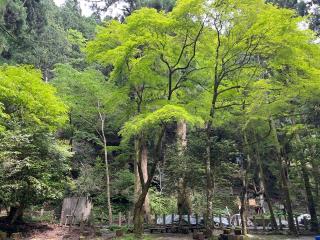 貴船神社　奥宮の参拝記録(らておやじさん)