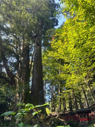 貴船神社　奥宮の参拝記録(ハシバさん)