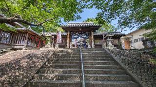 福島八幡宮の参拝記録(あずき島さん)