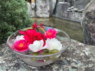 天之宮神社の参拝記録(忍さん)