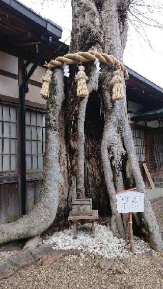 恵比須神社（三輪坐惠比須神社）の参拝記録(のぶちゃんさん)