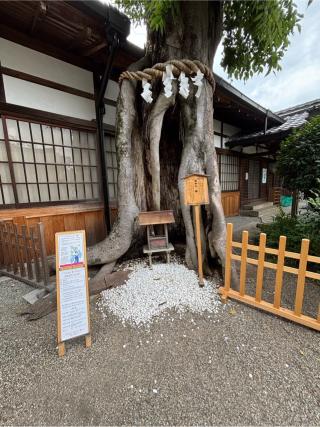 恵比須神社（三輪坐惠比須神社）の参拝記録(KUMIKOさん)