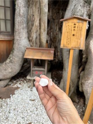 恵比須神社（三輪坐惠比須神社）の参拝記録(KUMIKOさん)