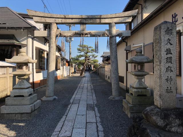 都久夫須麻神社の参拝記録3