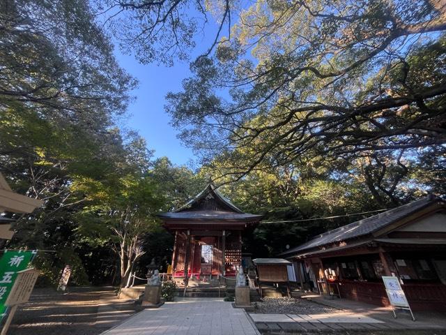 大津日吉神社の参拝記録4