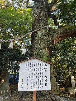 大津日吉神社の参拝記録(みんきちさん)