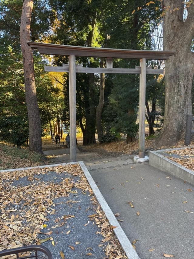 市杵嶋神社（遅野井市杵嶋神社）の参拝記録3