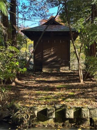 市杵嶋神社（遅野井市杵嶋神社）の参拝記録(こーちんさん)