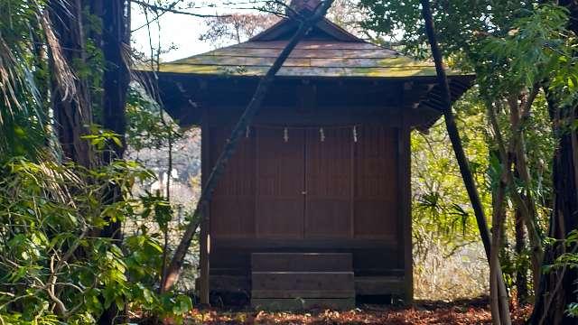 市杵嶋神社（遅野井市杵嶋神社）の参拝記録4