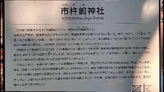市杵嶋神社（遅野井市杵嶋神社）の参拝記録(まっちゃんさん)