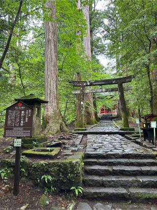 瀧尾神社（日光二荒山神社別宮）の参拝記録(KoriCoriさん)